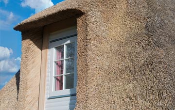 Drumcard thatch roof disadvantages